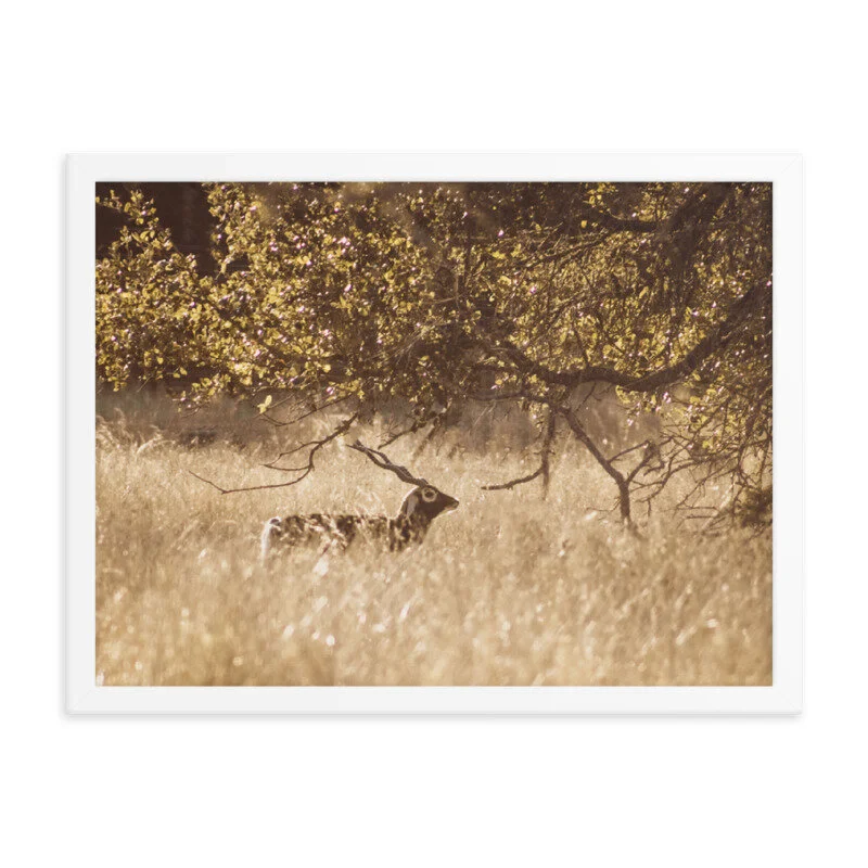 mockup_Transparent_Transparent_18x24_White-3.jpg