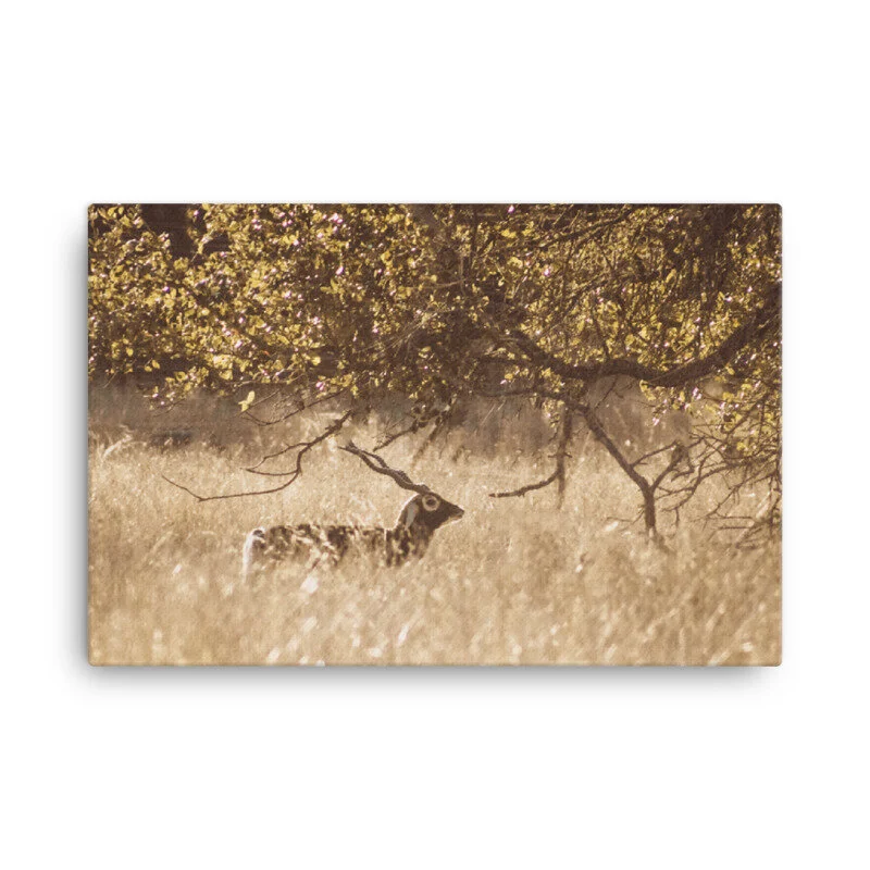 mockup_Wall_Wall_24x36-27.jpg