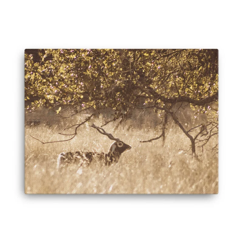 mockup_Wall_Wall_18x24-11.jpg