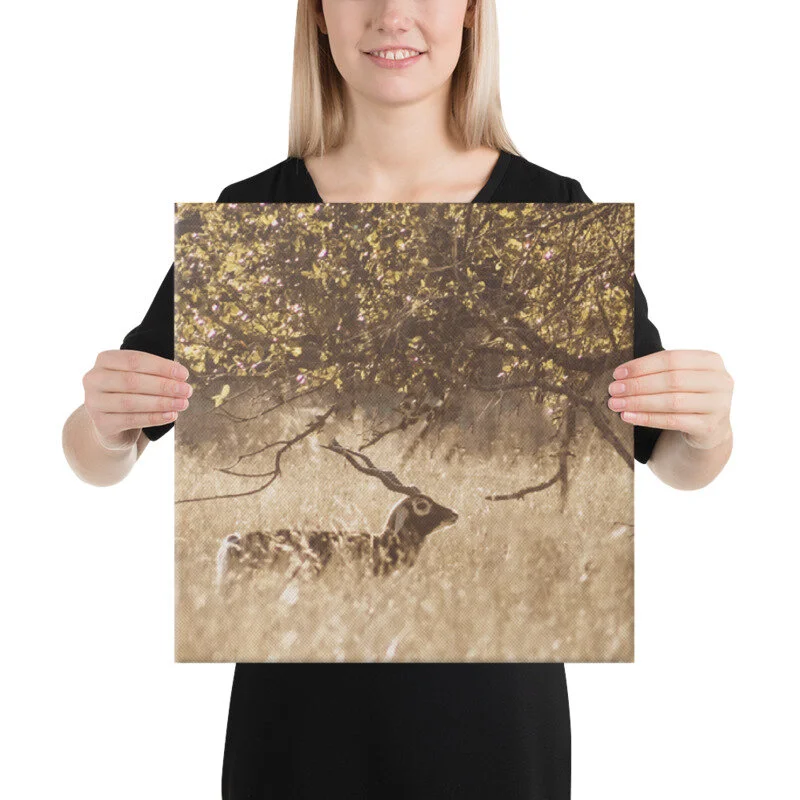 mockup_Person_Person_16x16-11.jpg