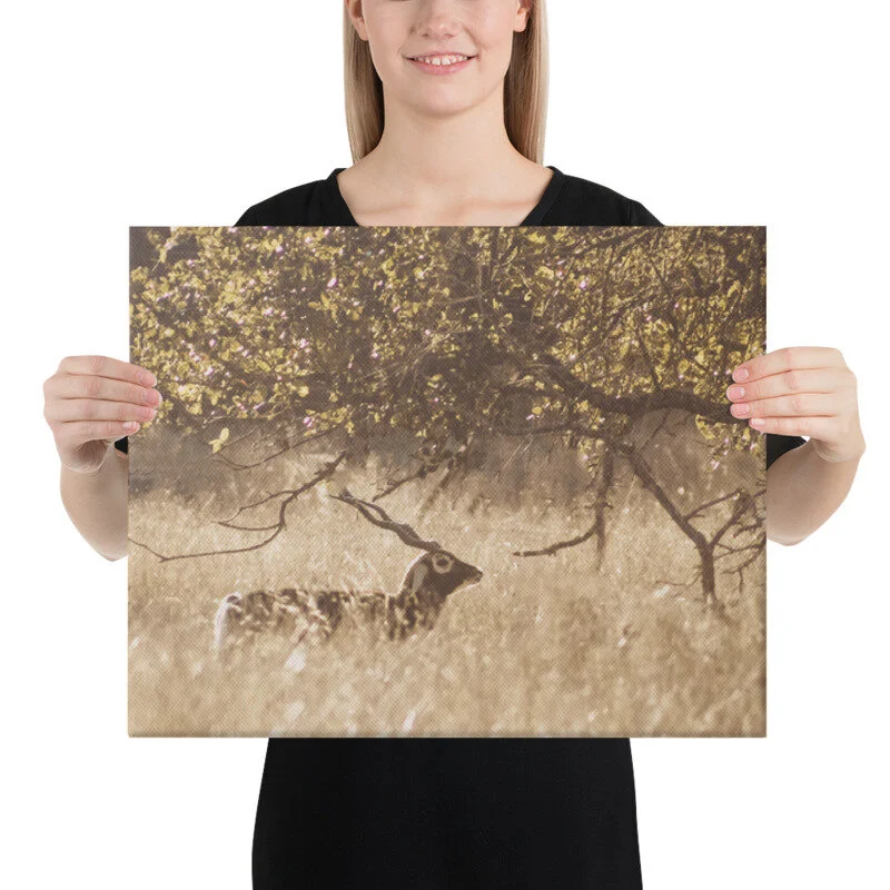 mockup_Person_Person_16x20-6.jpg