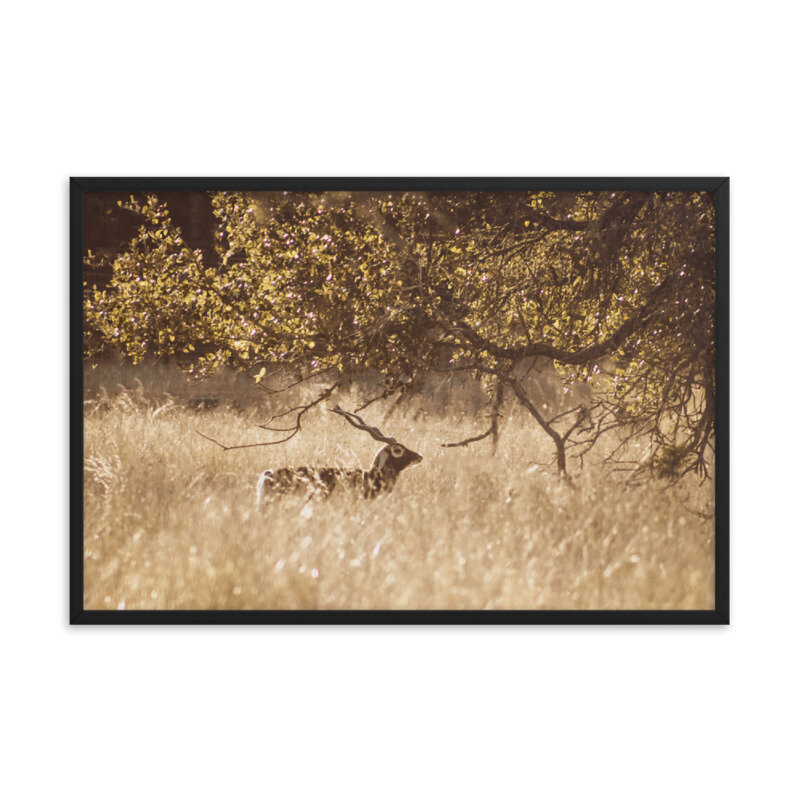 mockup_Transparent_Transparent_24x36_Black-1.jpg