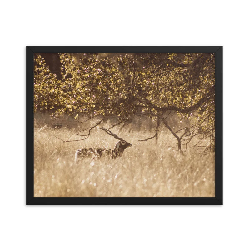 mockup_Transparent_Transparent_16x20_Black.jpg