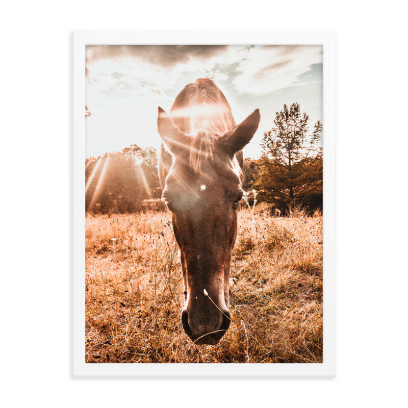 mockup_Transparent_Transparent_18x24_White-2.jpg