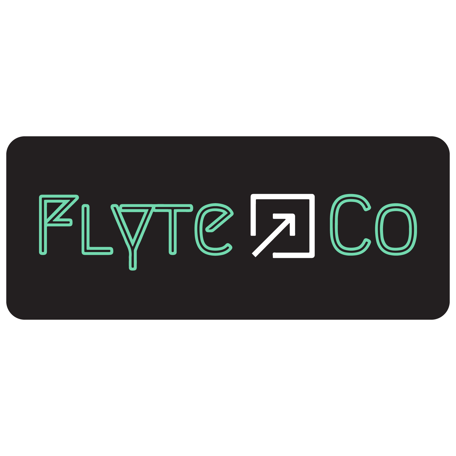 Flyte.co2.png