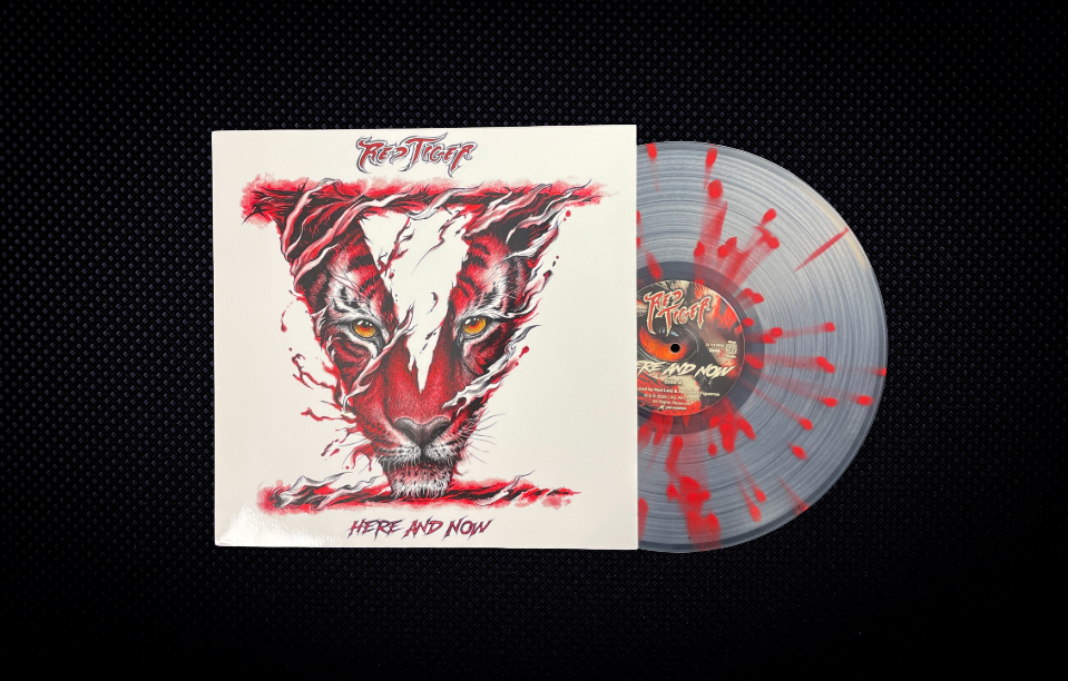 Our Fifth Album, “Here and Now” Is Now Available on VINYL! 
