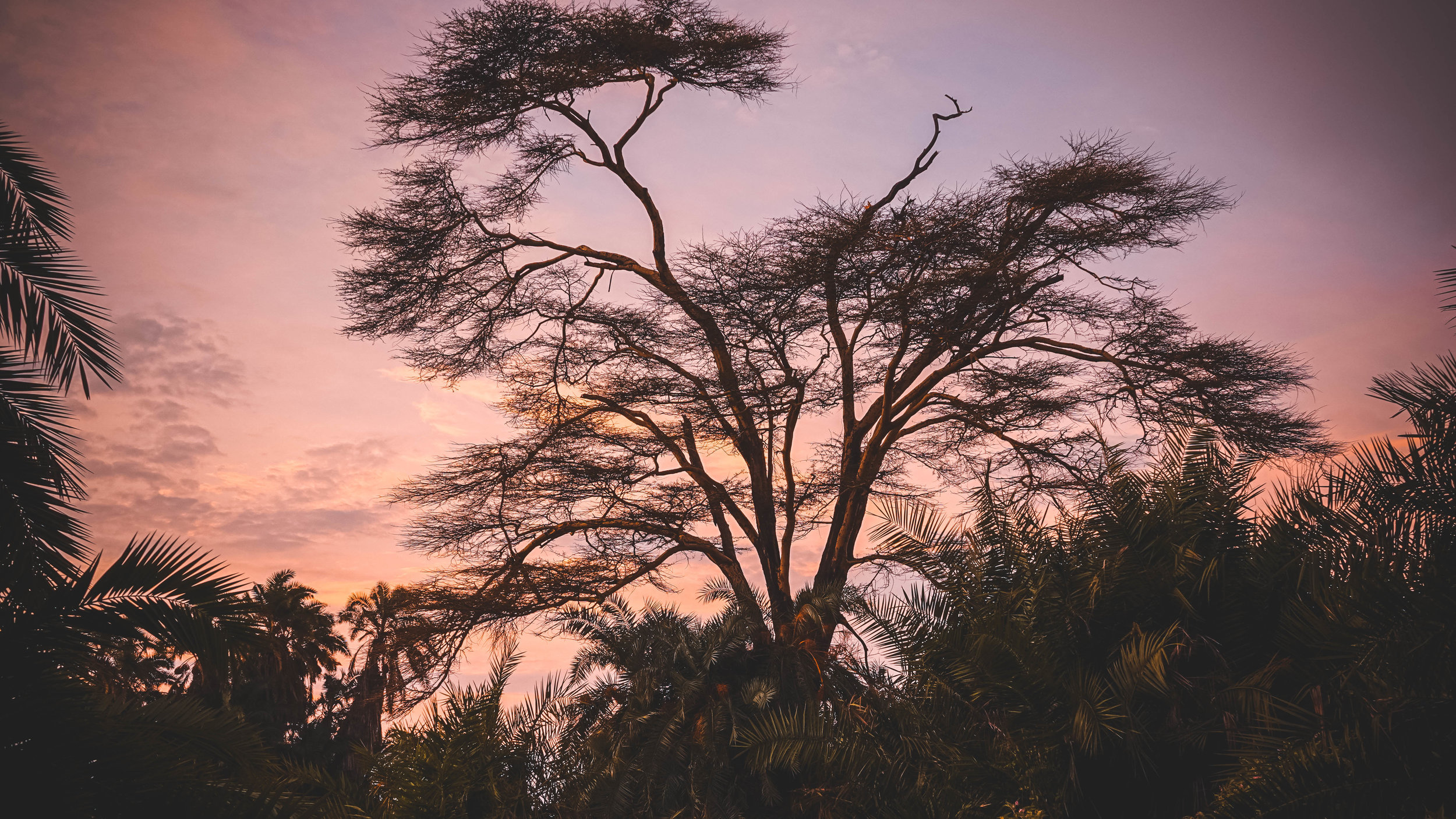 An issue greater than our own