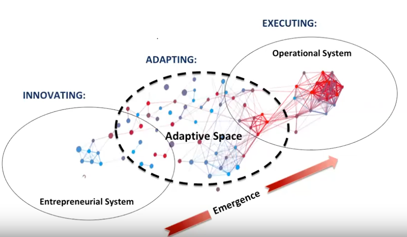 Adaptive Space: From online presentation by Prof Mary Uhl-Bien on Complexity Leadership in Oganisations