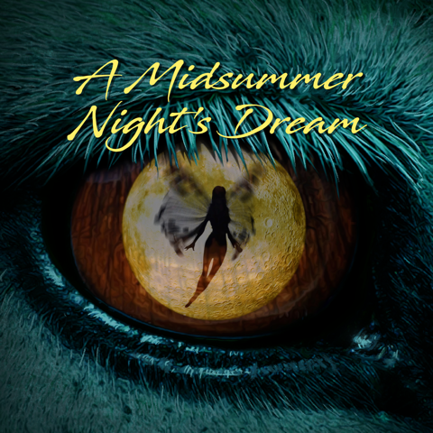 A Midsummer Night's Dream (Copy)
