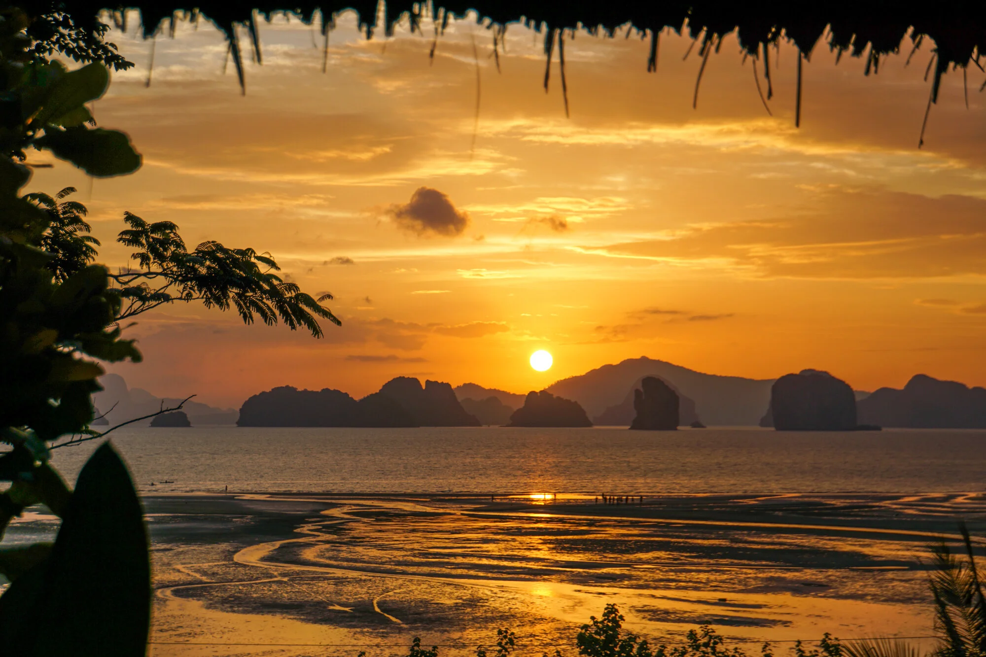 Light the World on Fire