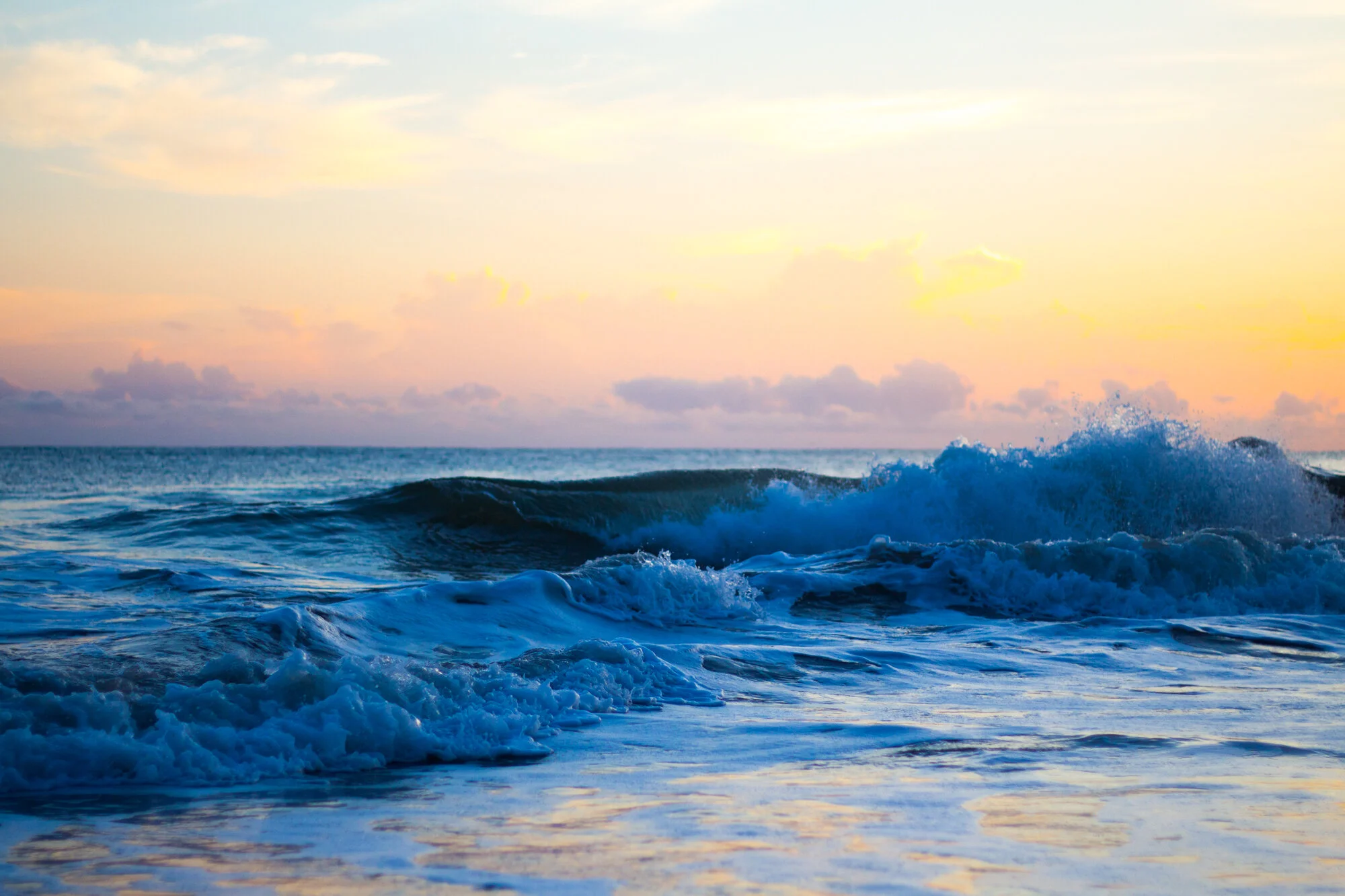 The Great Pulse of Life