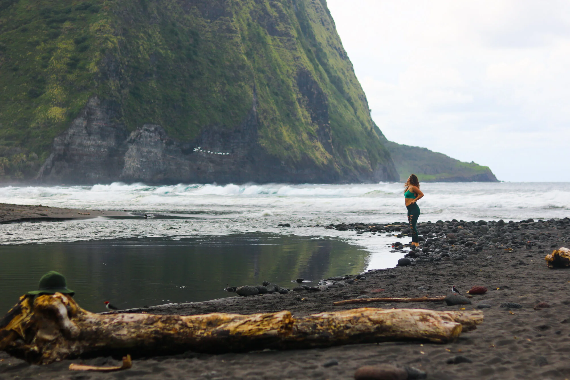 The Presence of Life