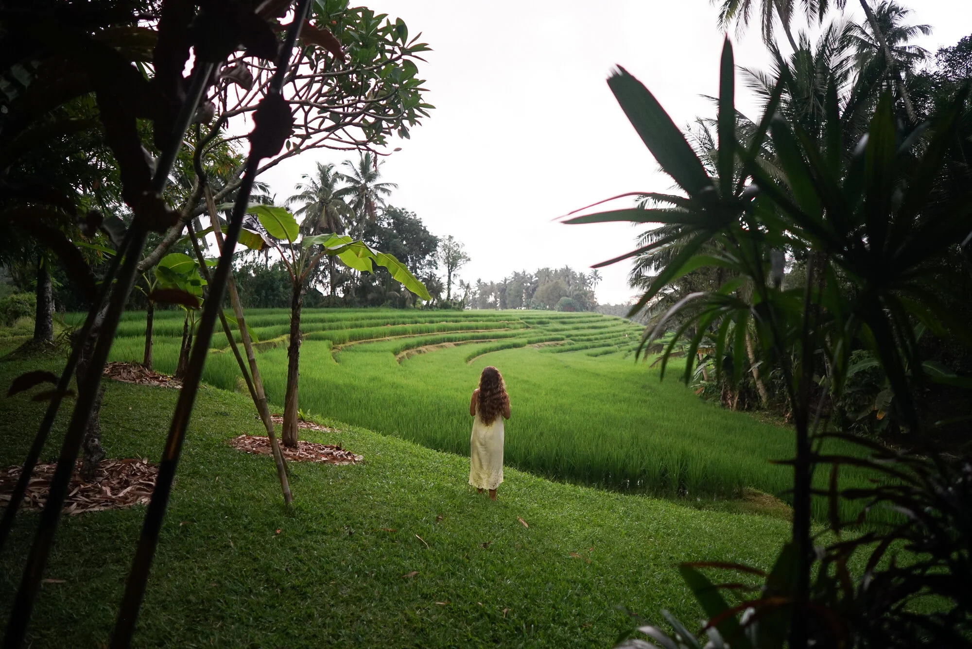 Ariadne and the Red Thread: Finding Our Way Through the Labyrinth