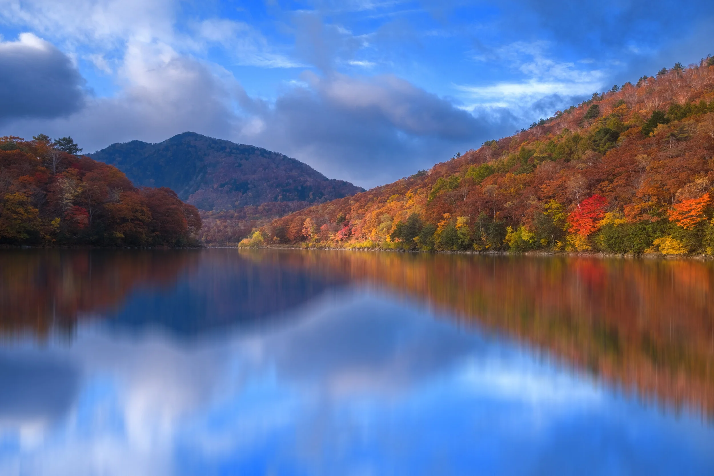 Autumn Inspiration