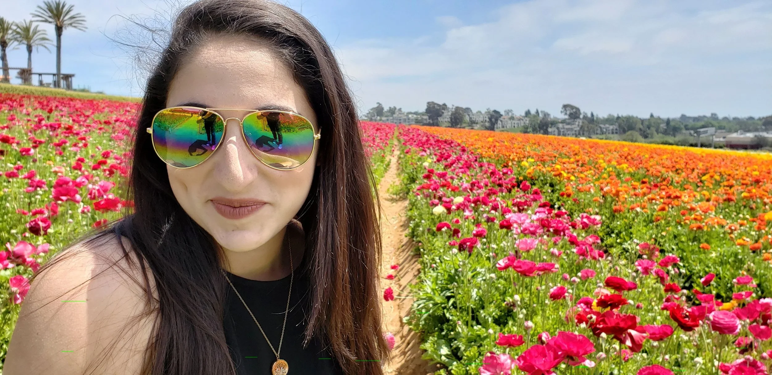 The Carlsbad Flower Fields