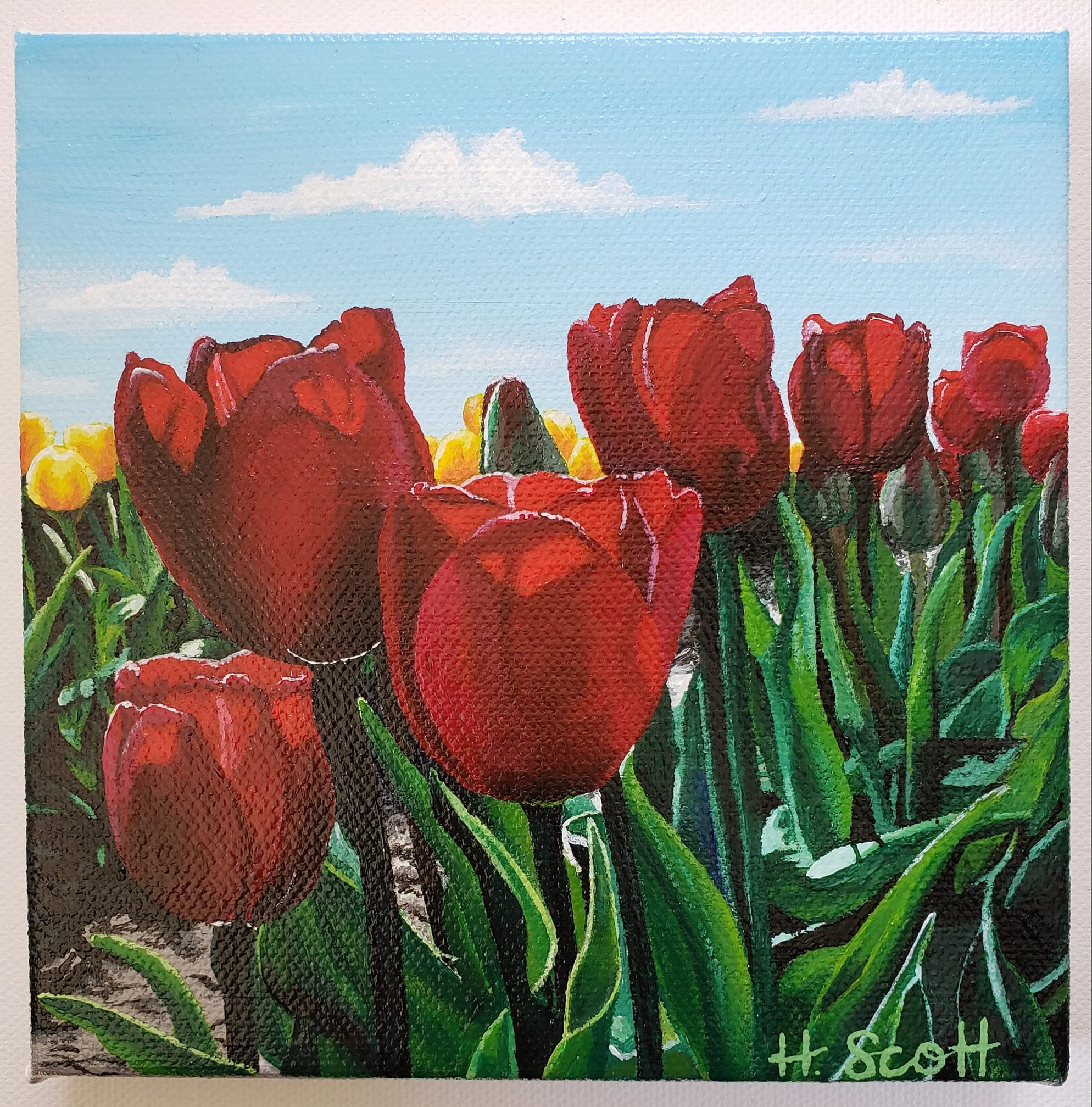Red Tulips