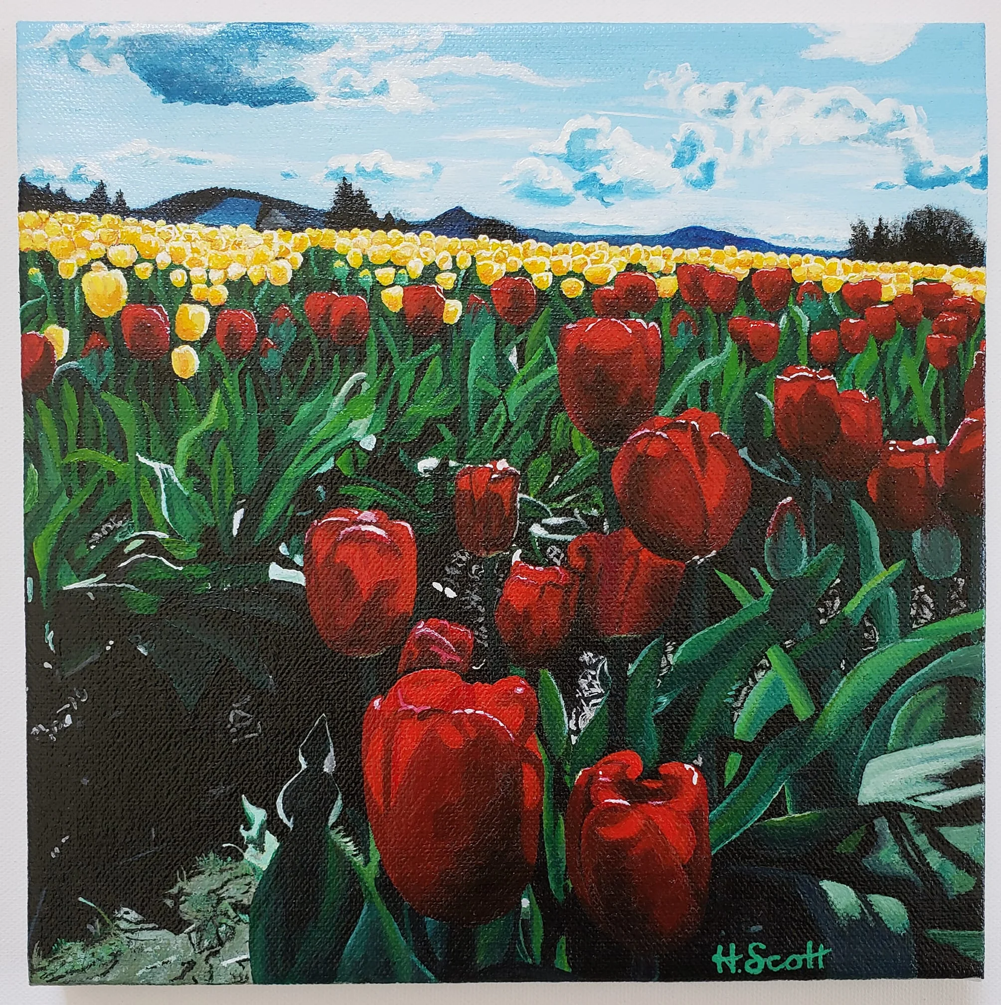 Tulip Field