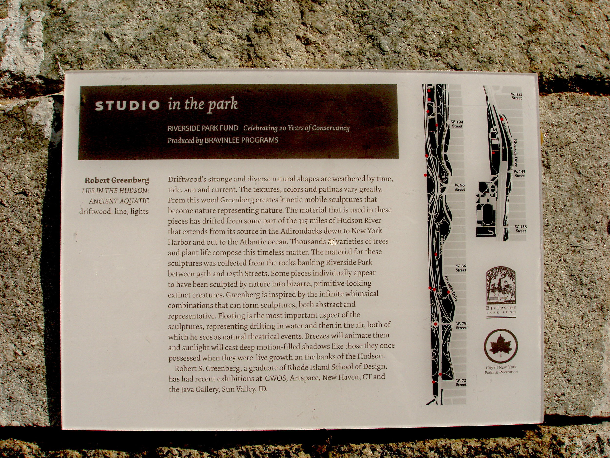 Words for Studio in the Park Ancient Aquatic.JPG