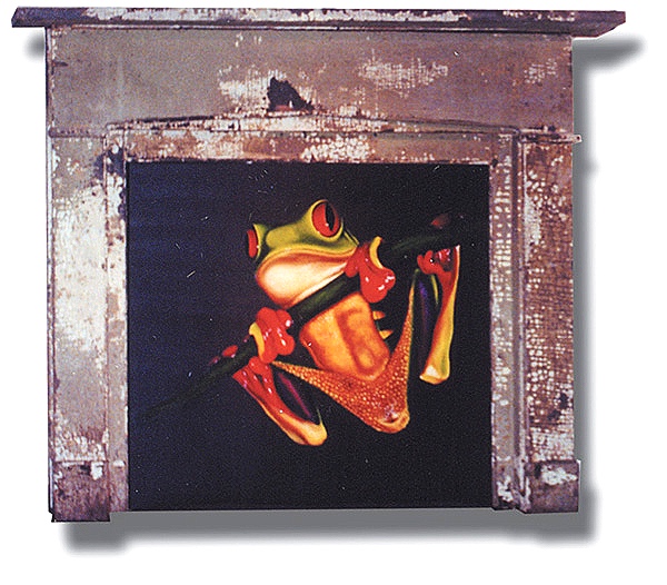 Red eye Treefrog in 18c. Mantel.jpg