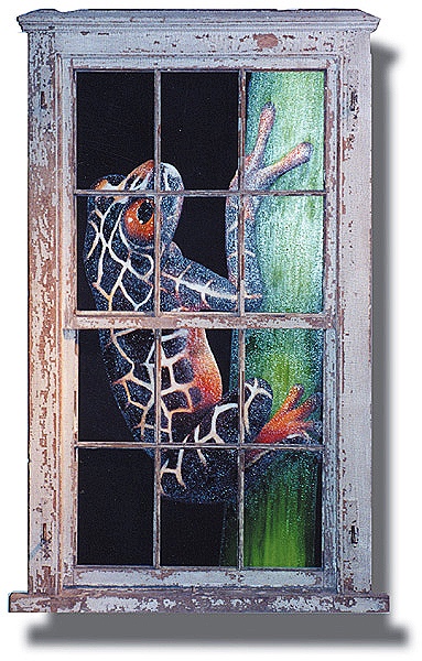 Giraffe Treefrog in 18c window.jpg