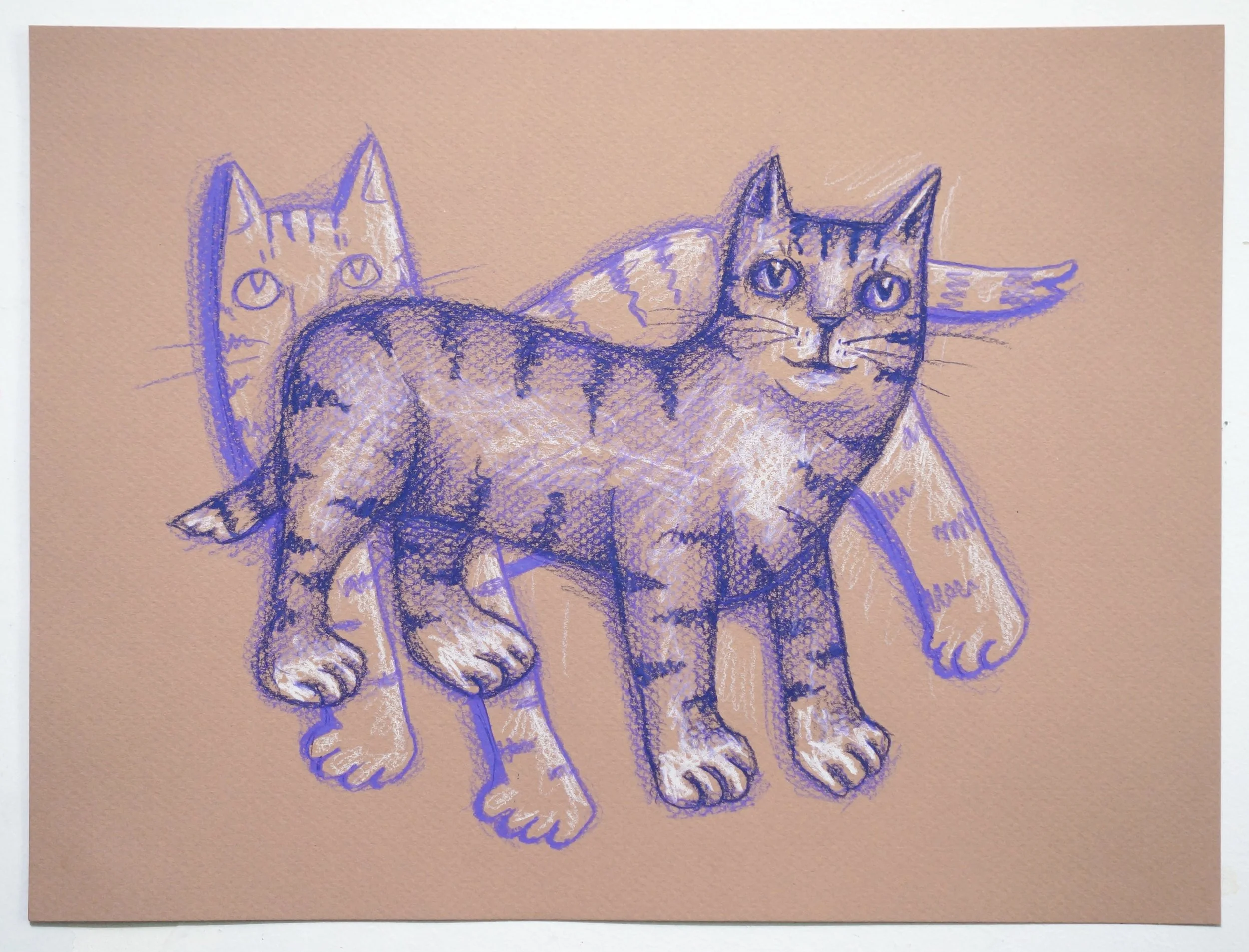 Double Purple Cat