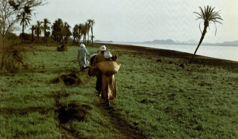 Nubian men farming along the Nile from Robert Fernea’s Nubians in Egypt: A Peaceful People