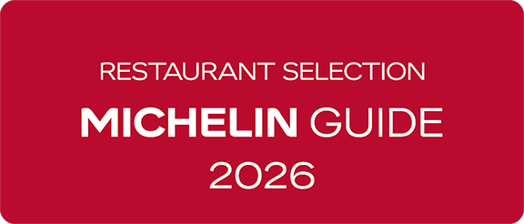 Image of Michelin Logo 2026