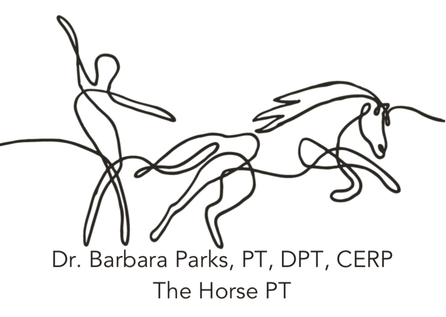 Dr. Barbara Parks, PT, DPT, CERP: The Horse PT