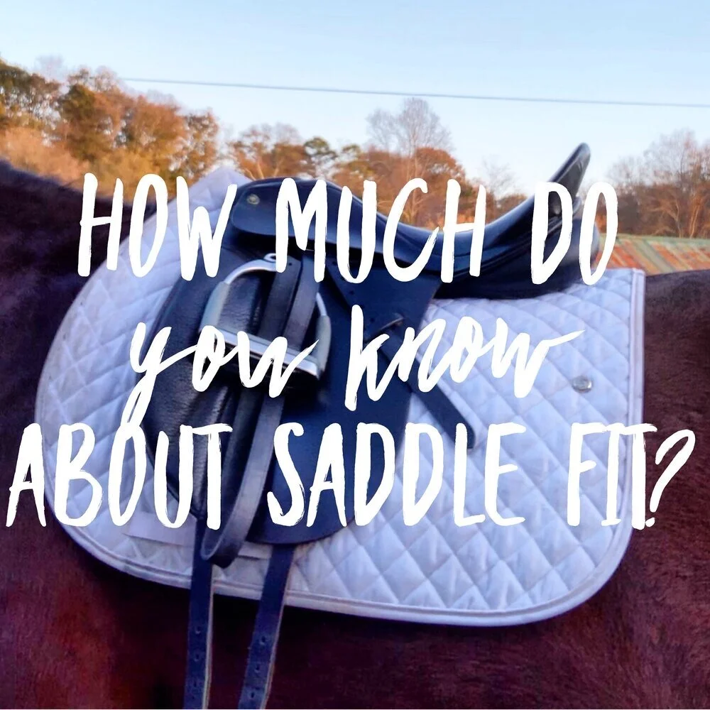 How much do you know about saddle fit?