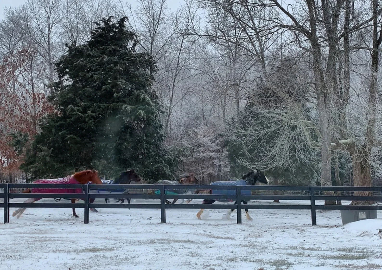 Polar Vortex and +R Ramblings (Behavior Science part 2)