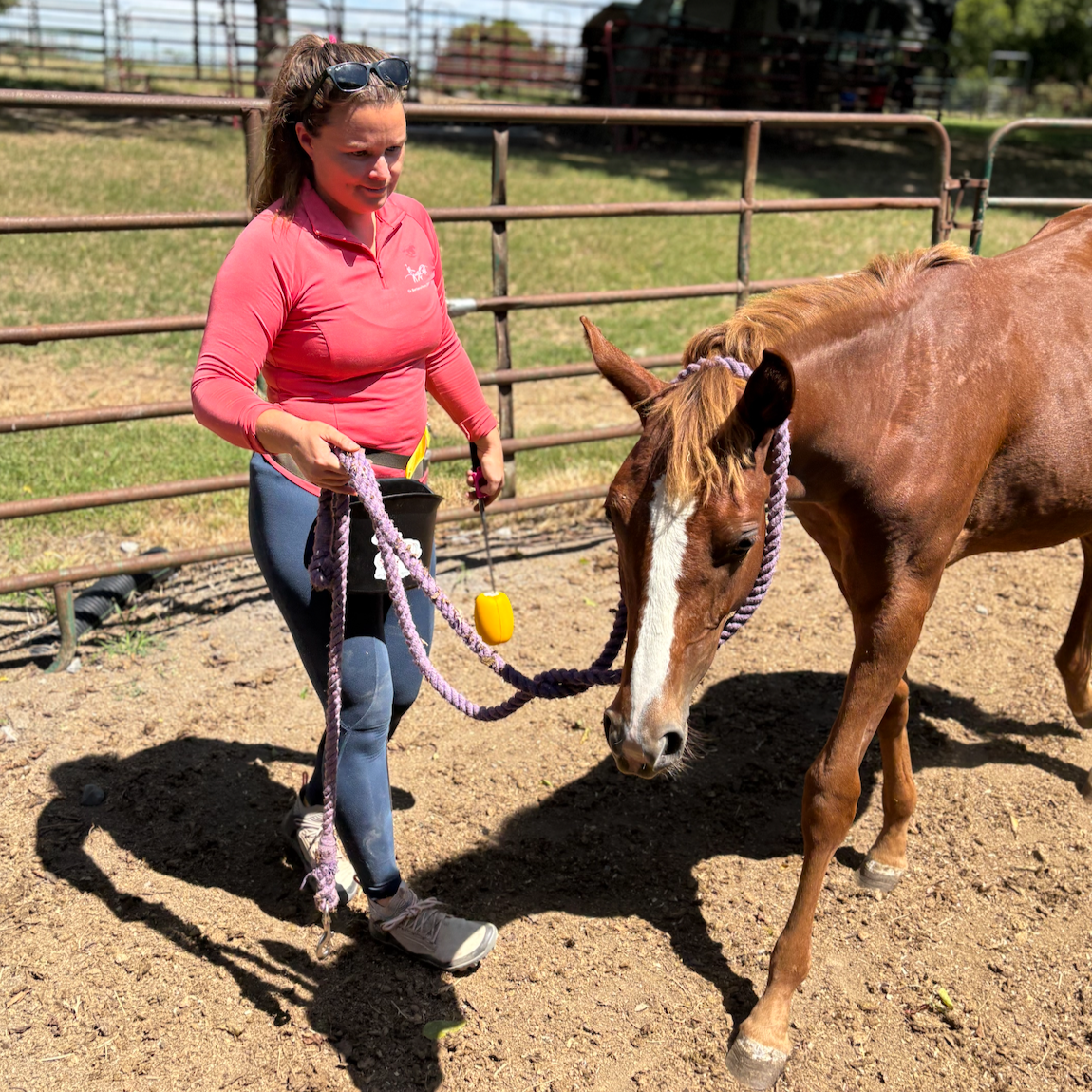 On Patience Poles, Hard Tying, and Learned Helplessness