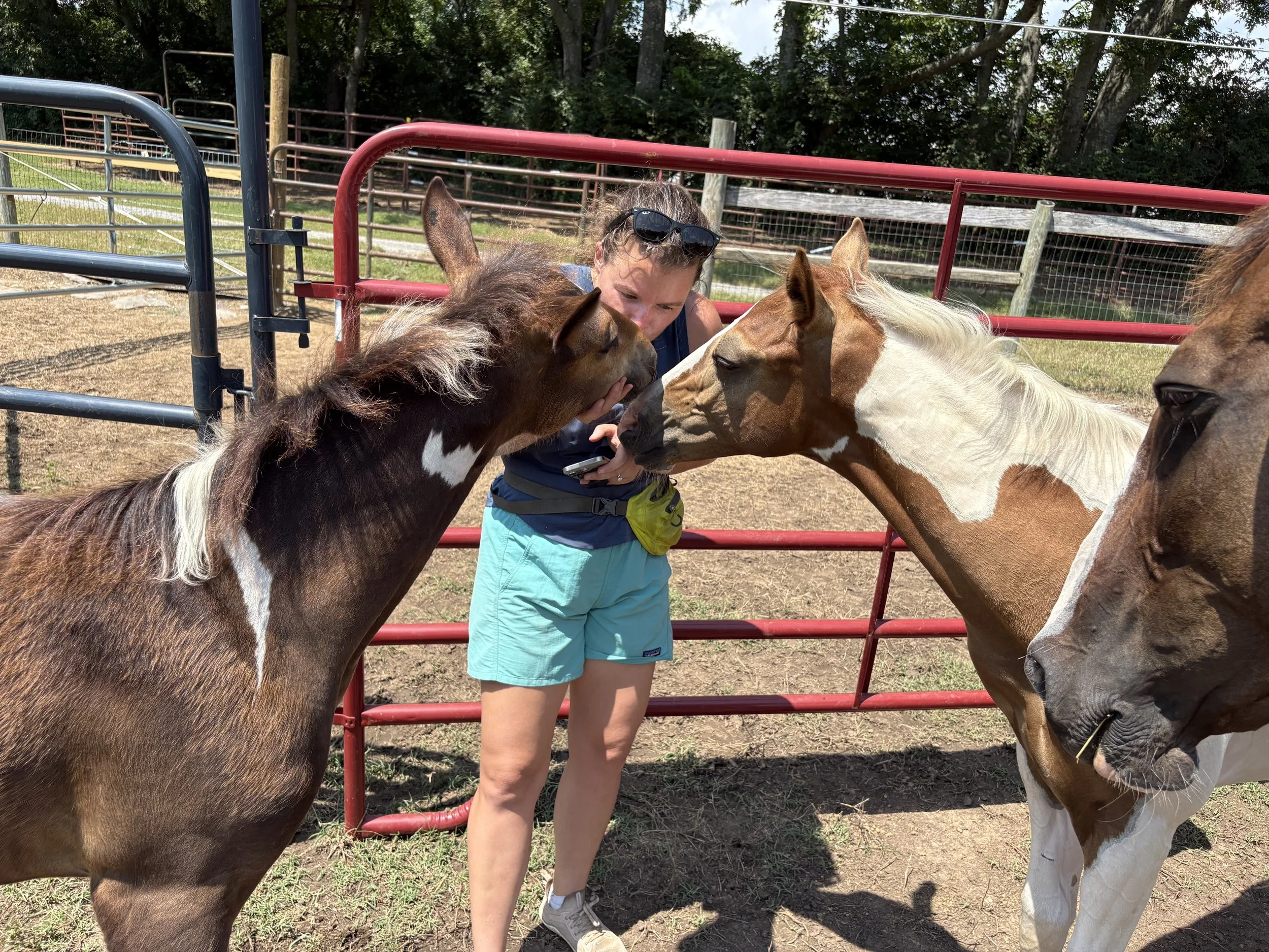 On Death and New Beginnings 🐎🌿