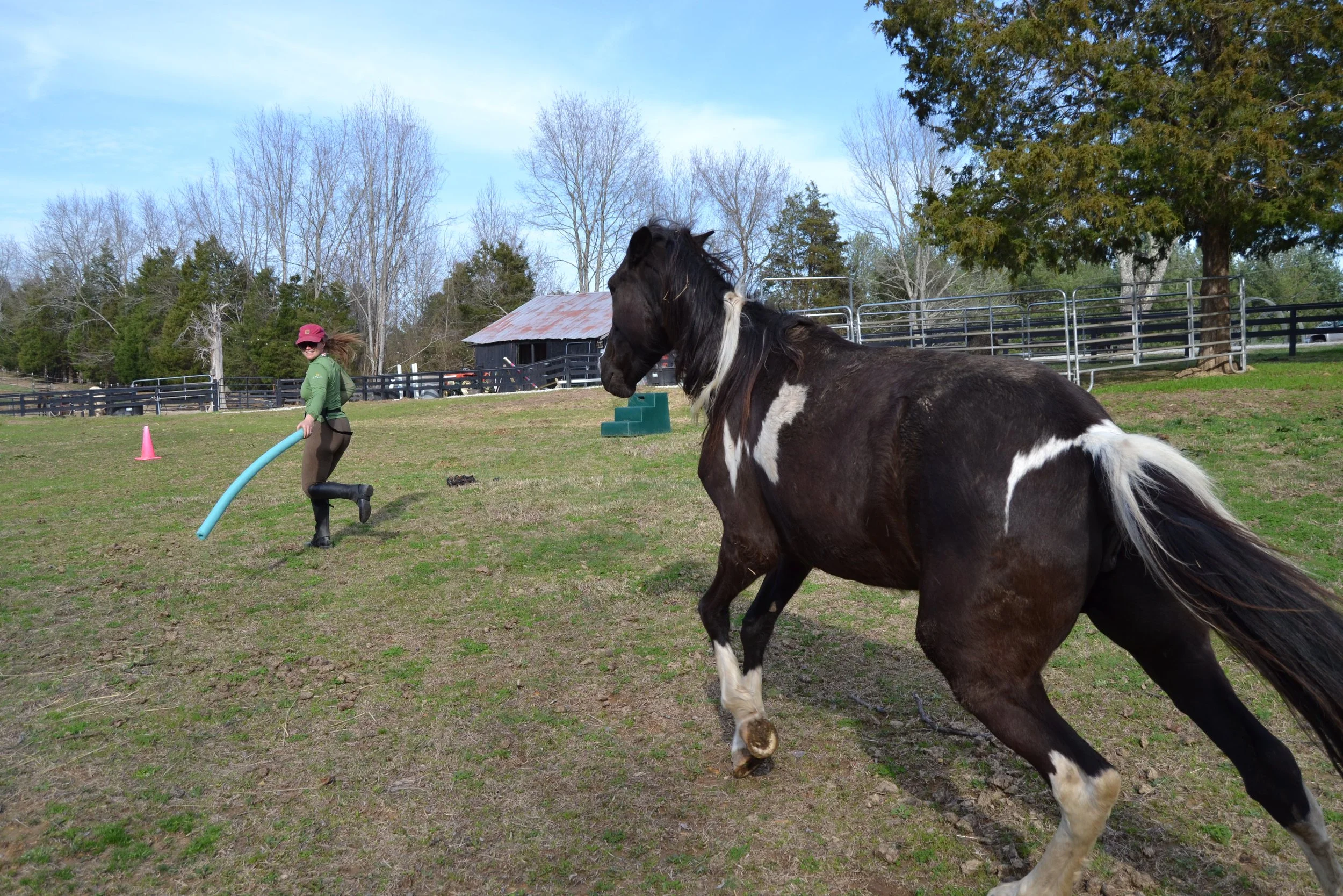 What I Learned by Not Riding My Horses