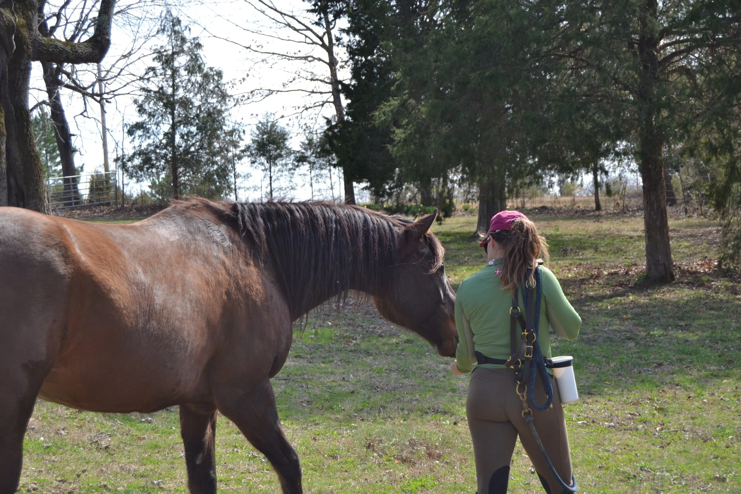 Show him who's boss?