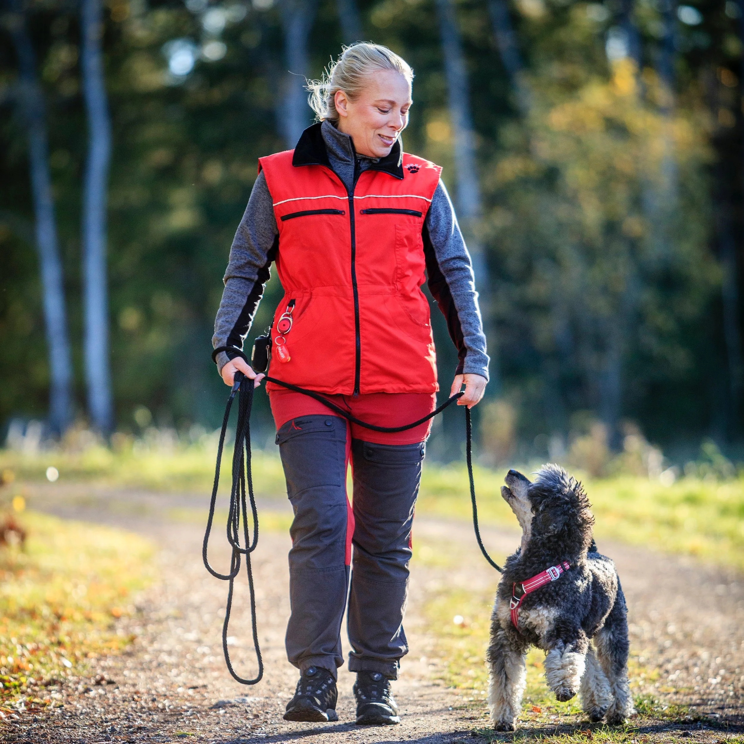 Clicker Training 101 (for Horses) — Dr. Barbara Parks, PT, DPT, CERP ...