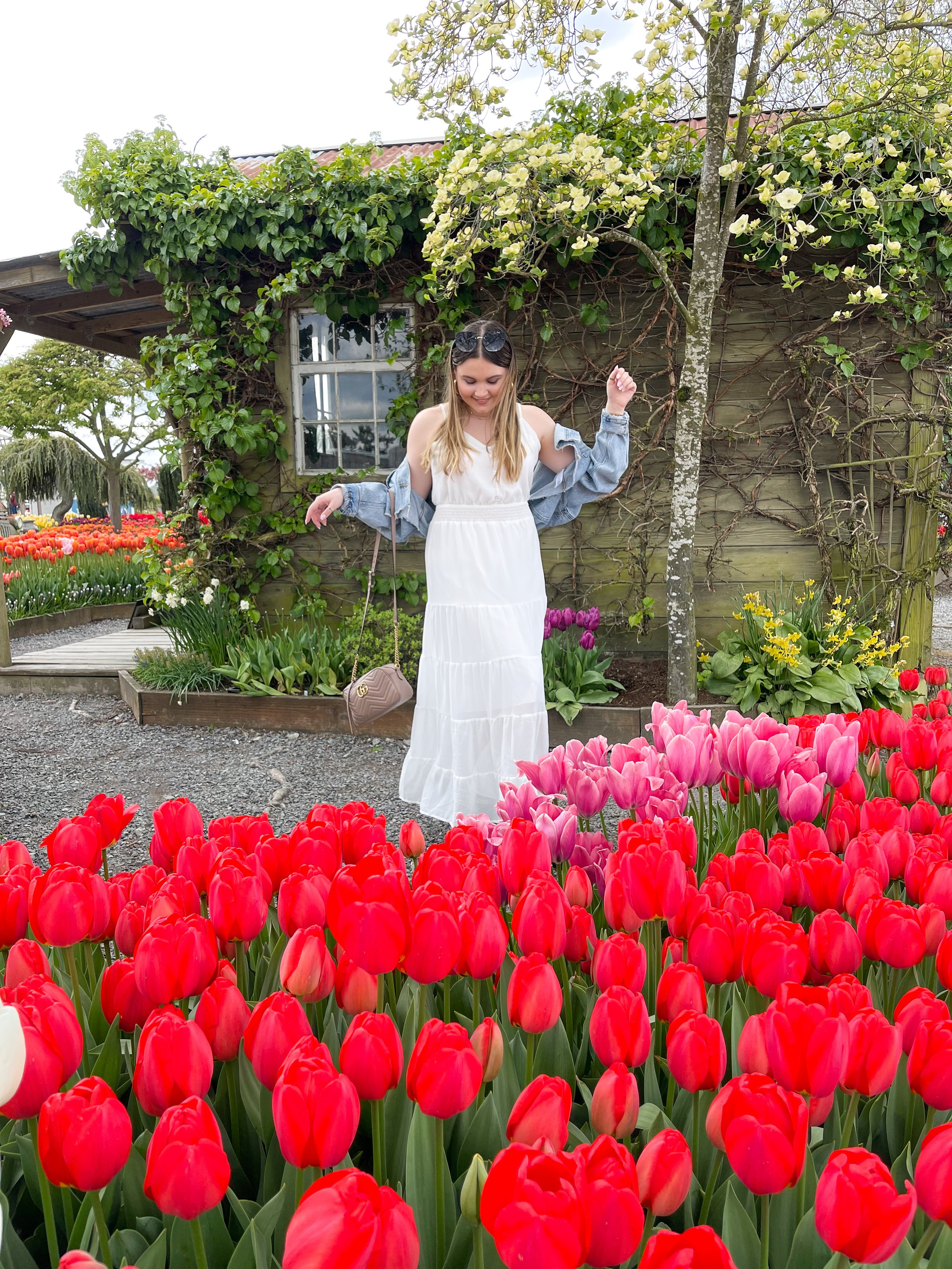 Skagit Valley Tulip Festival Photoshoot Guide