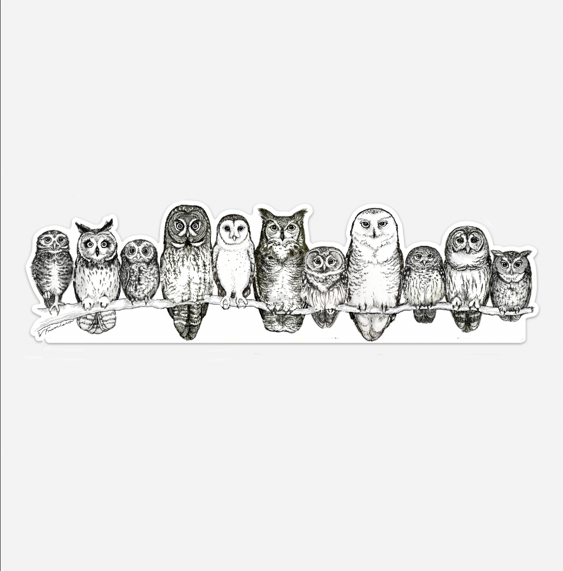 "Owl Row" 6" Magnet - $8.50