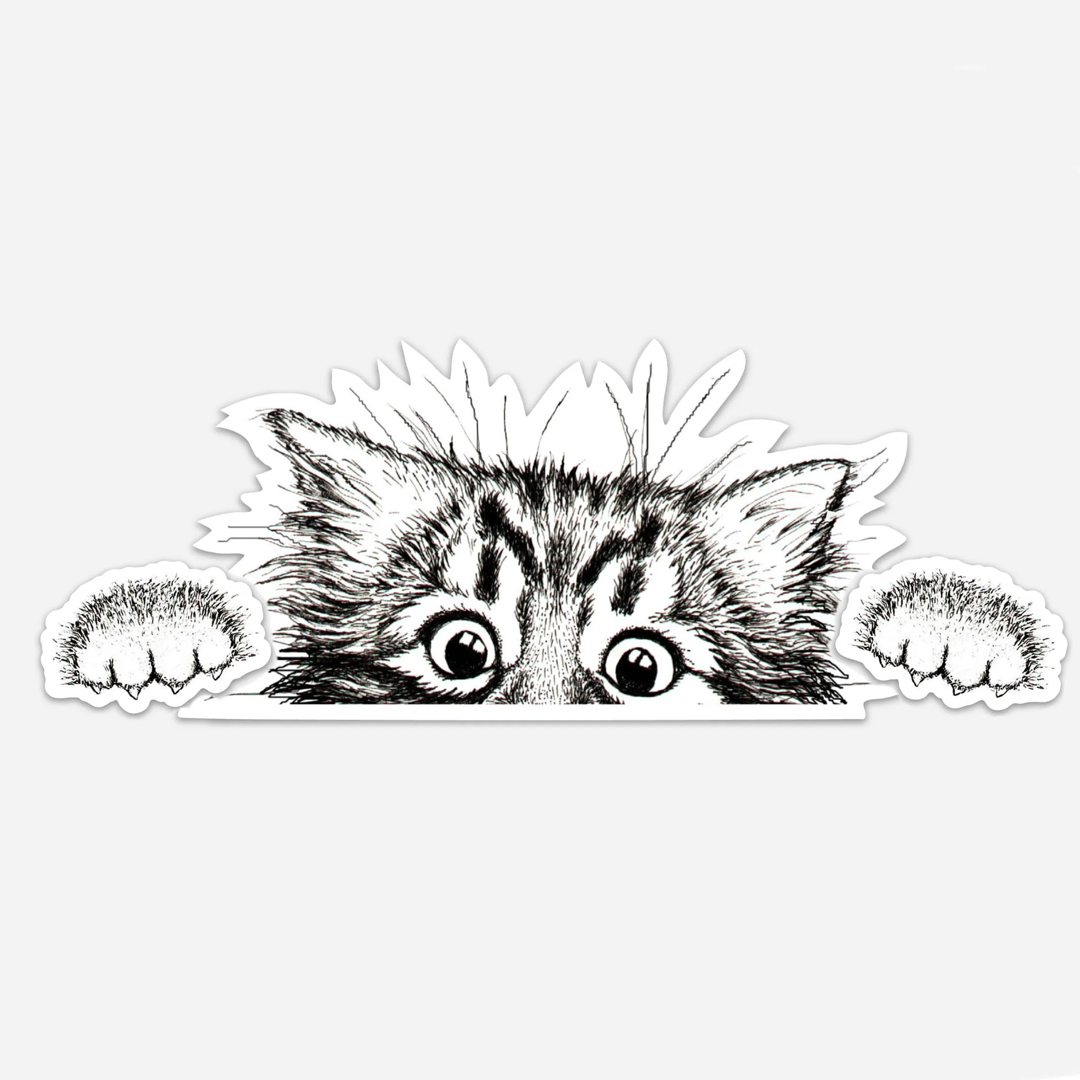 Peekaboo Kitty 3 Magnet Set
