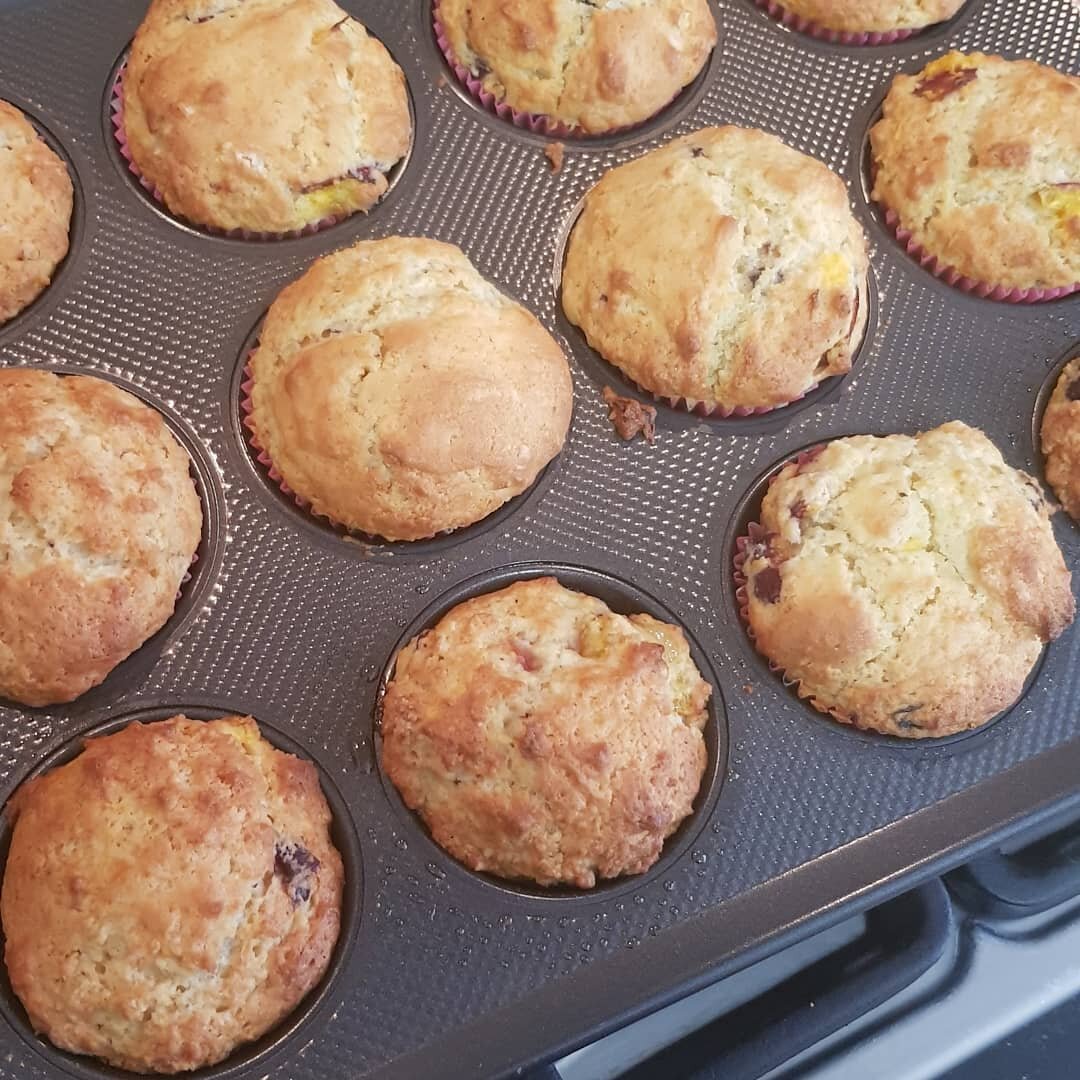 What do you do when you have too many Peacherines.... make Peacherine muffins! 😍🤤😍 
Gobbled up by the kids in less than 24hours! 
#seasonalfruit #peacherine #muffins #peacherines #seasonalharvest #homegrown #gardenharvest #summerfruit #summerharve