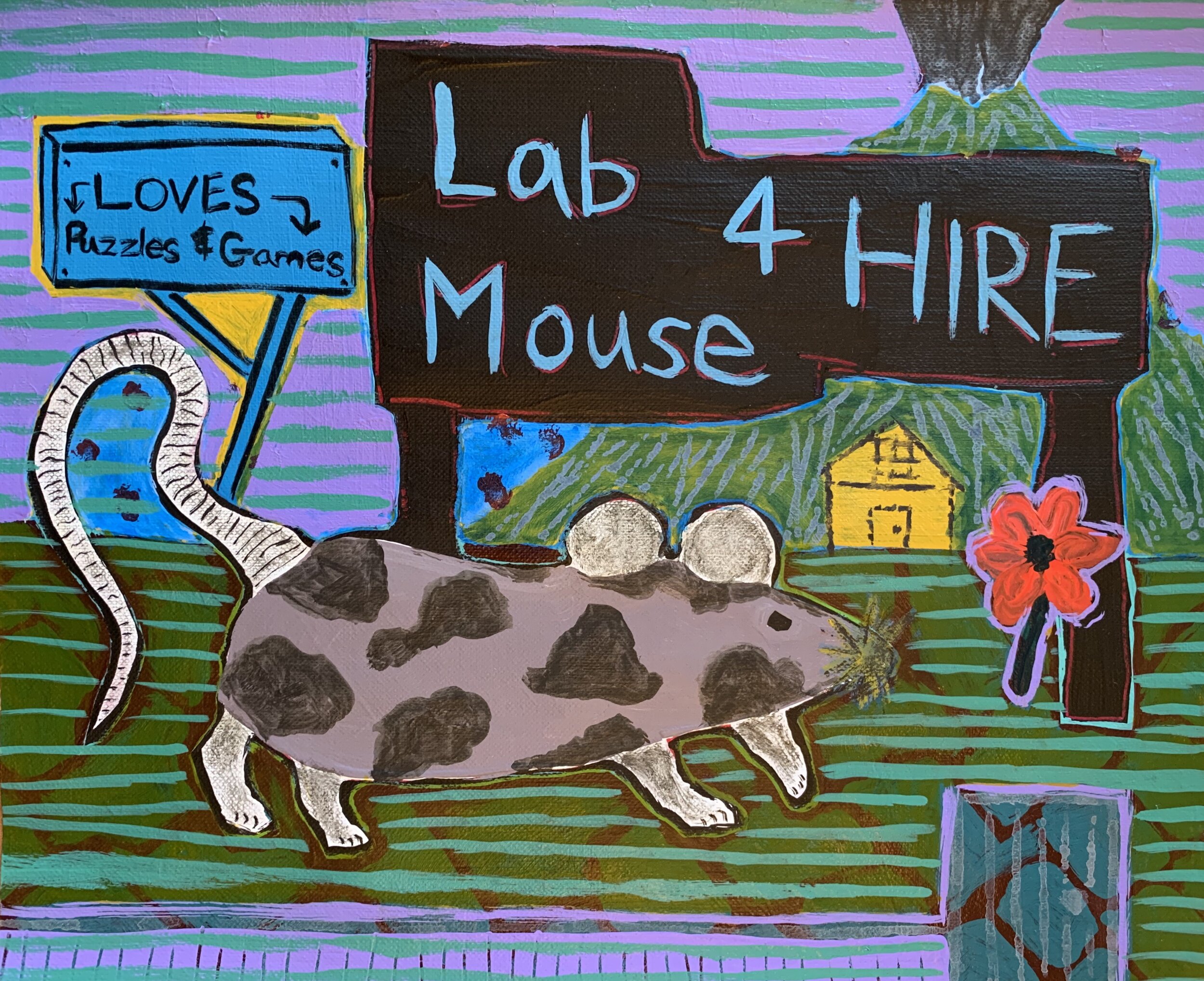Lab Mouse 4 Hire (Algernon)