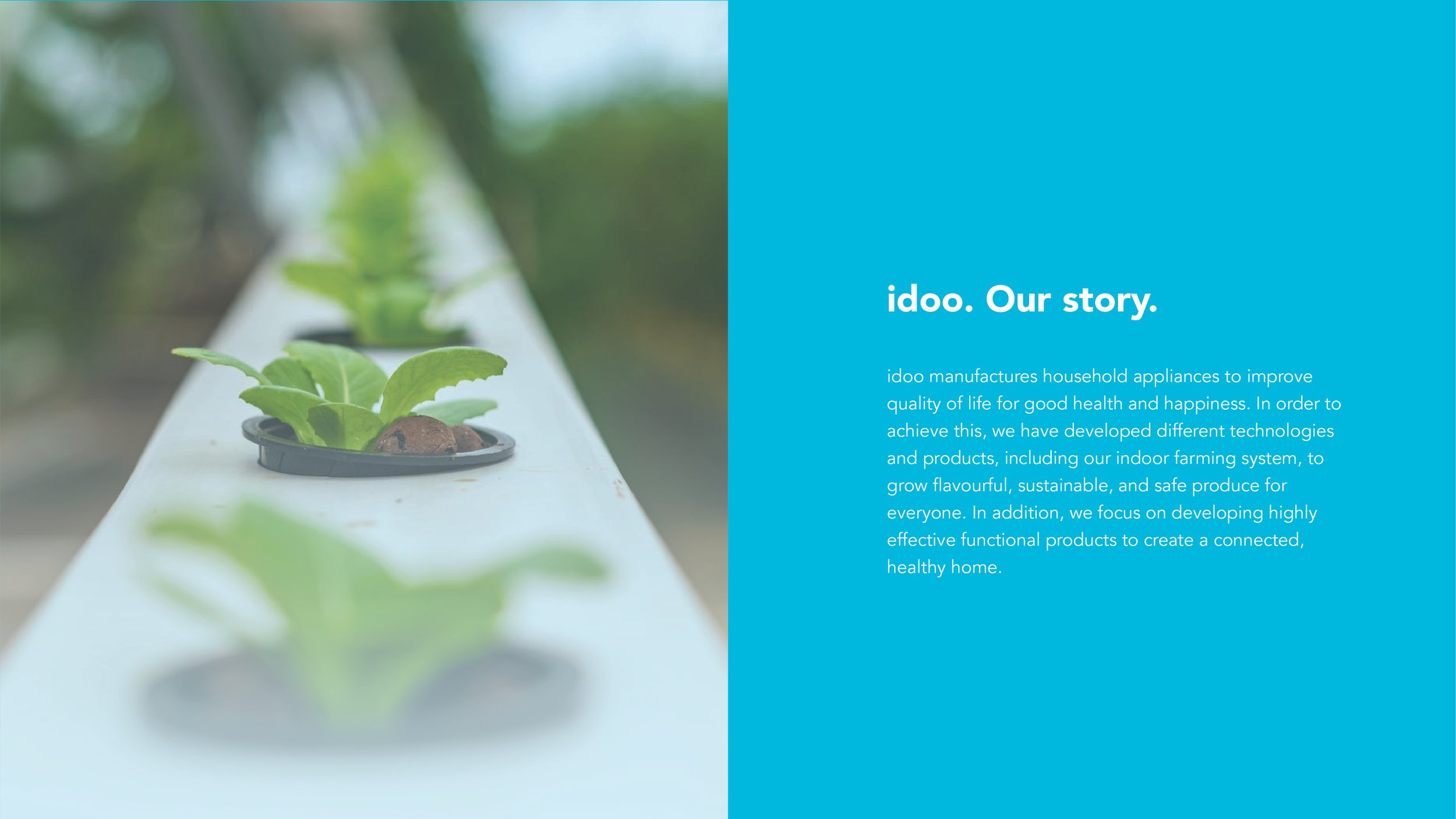 idoo_brandGuideline_wip_oct20-02.jpg