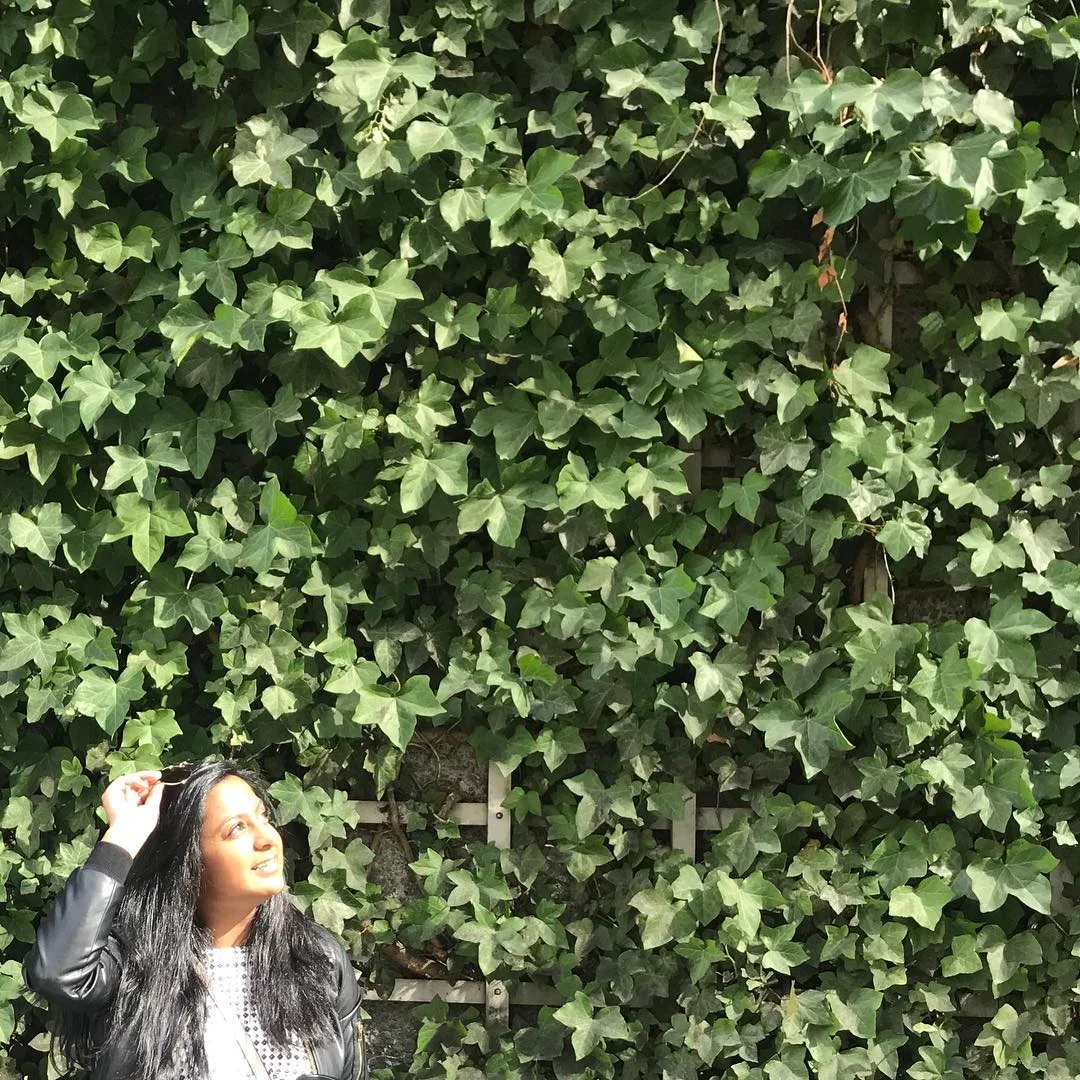 green wall.jpg