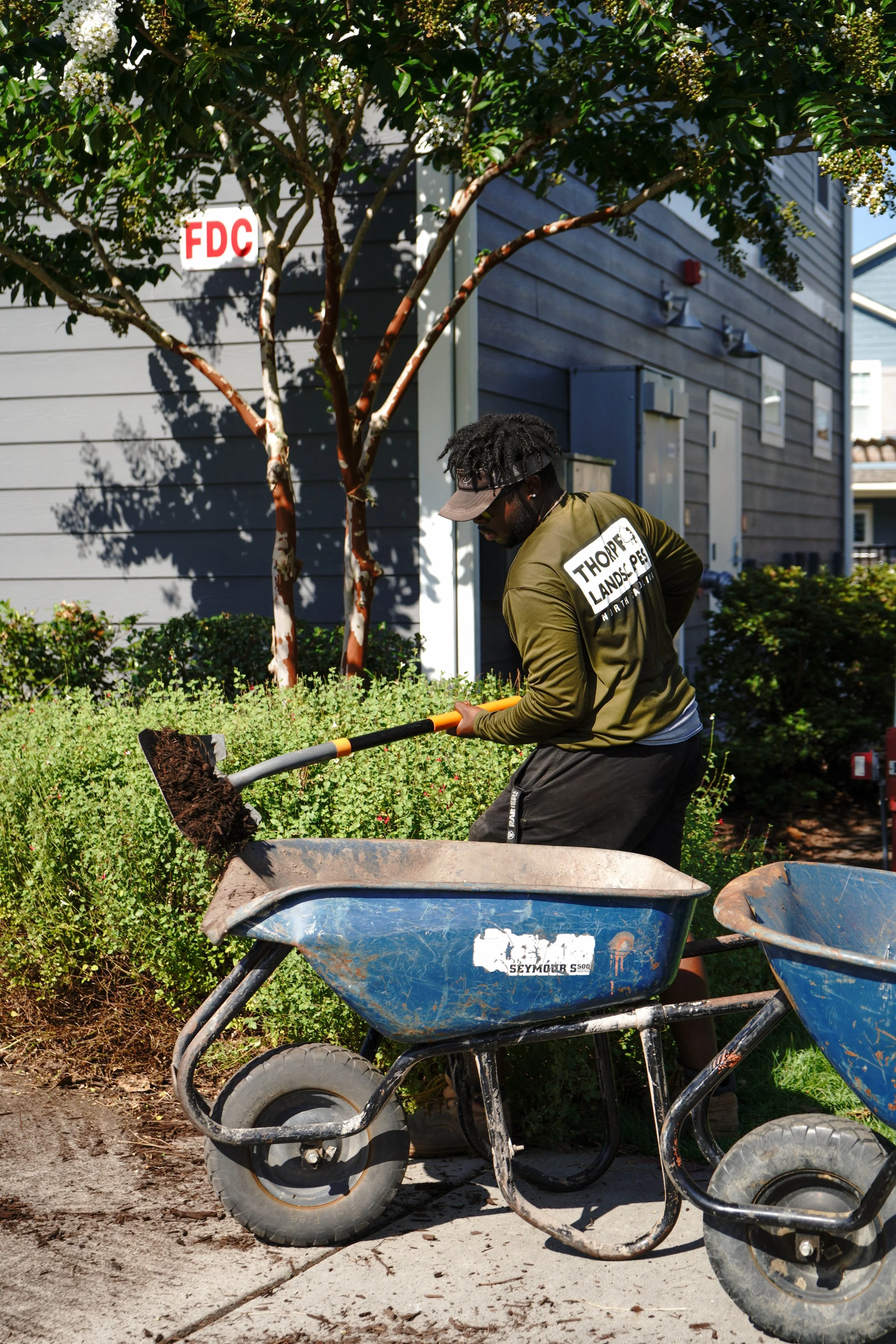 Commercial and Residential Landscape Maintenance — Thorpe Landscapes