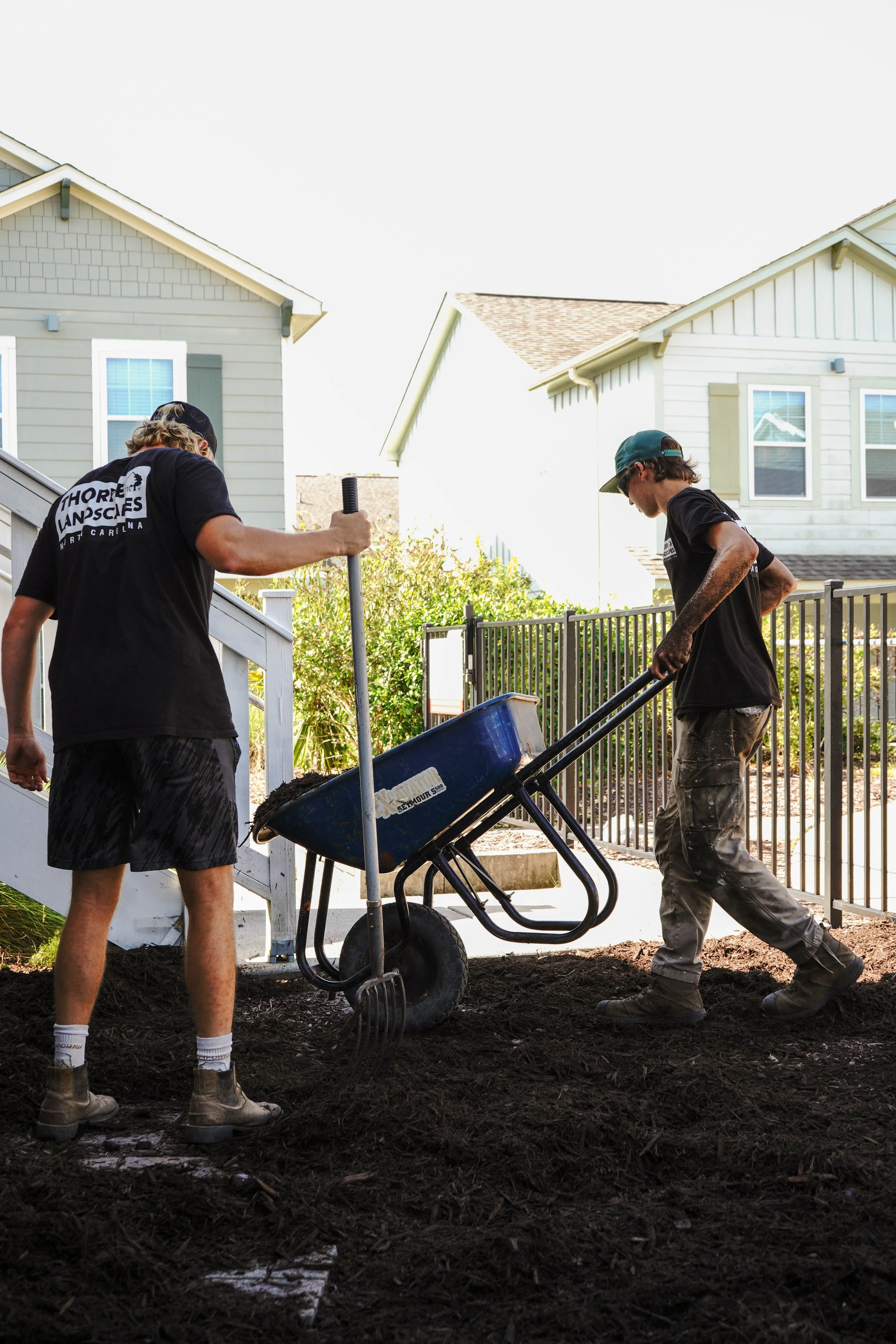 Commercial and Residential Landscape Maintenance — Thorpe Landscapes