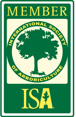 ISA-logos.png