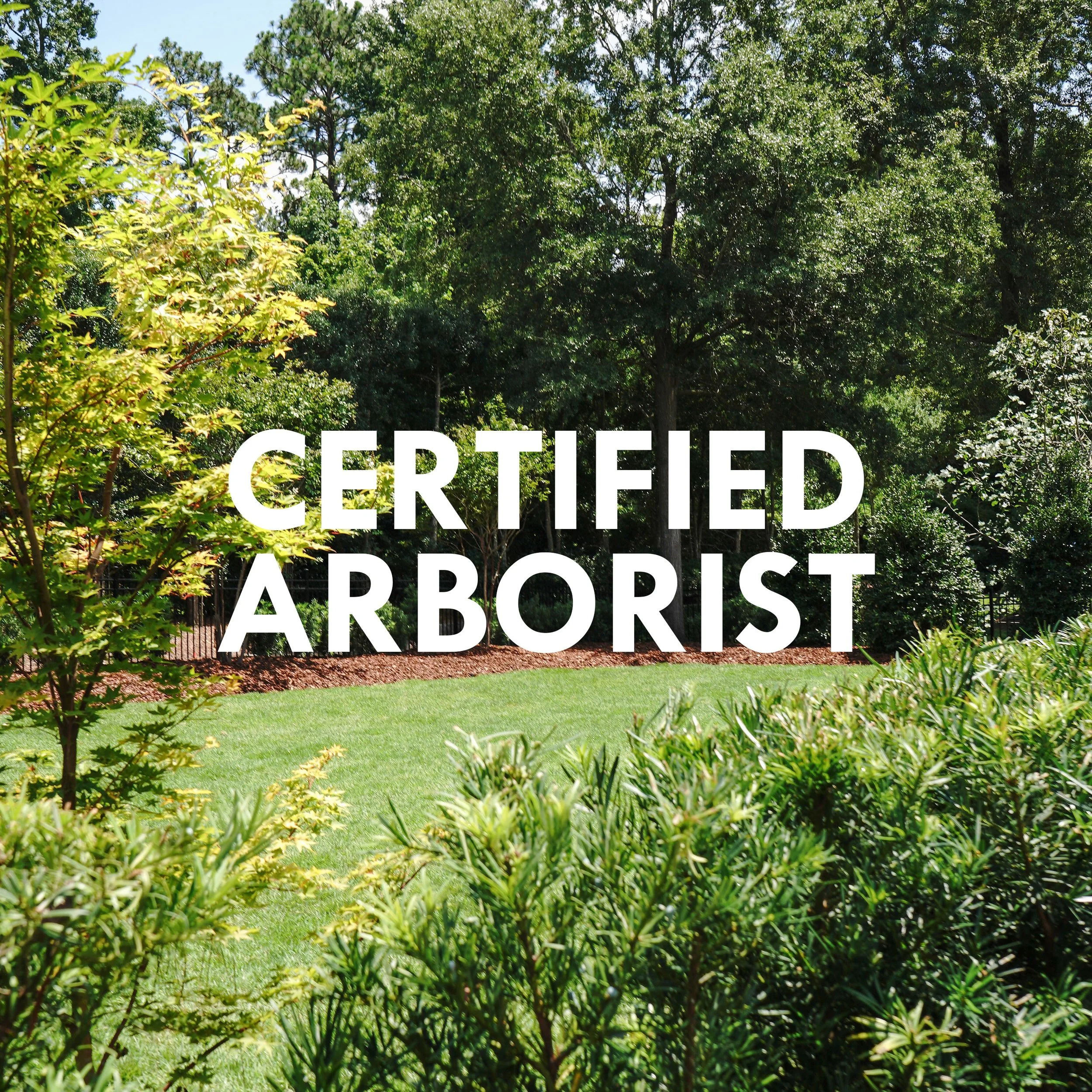 Thorpe Landscapes Landscaping in North Carolina