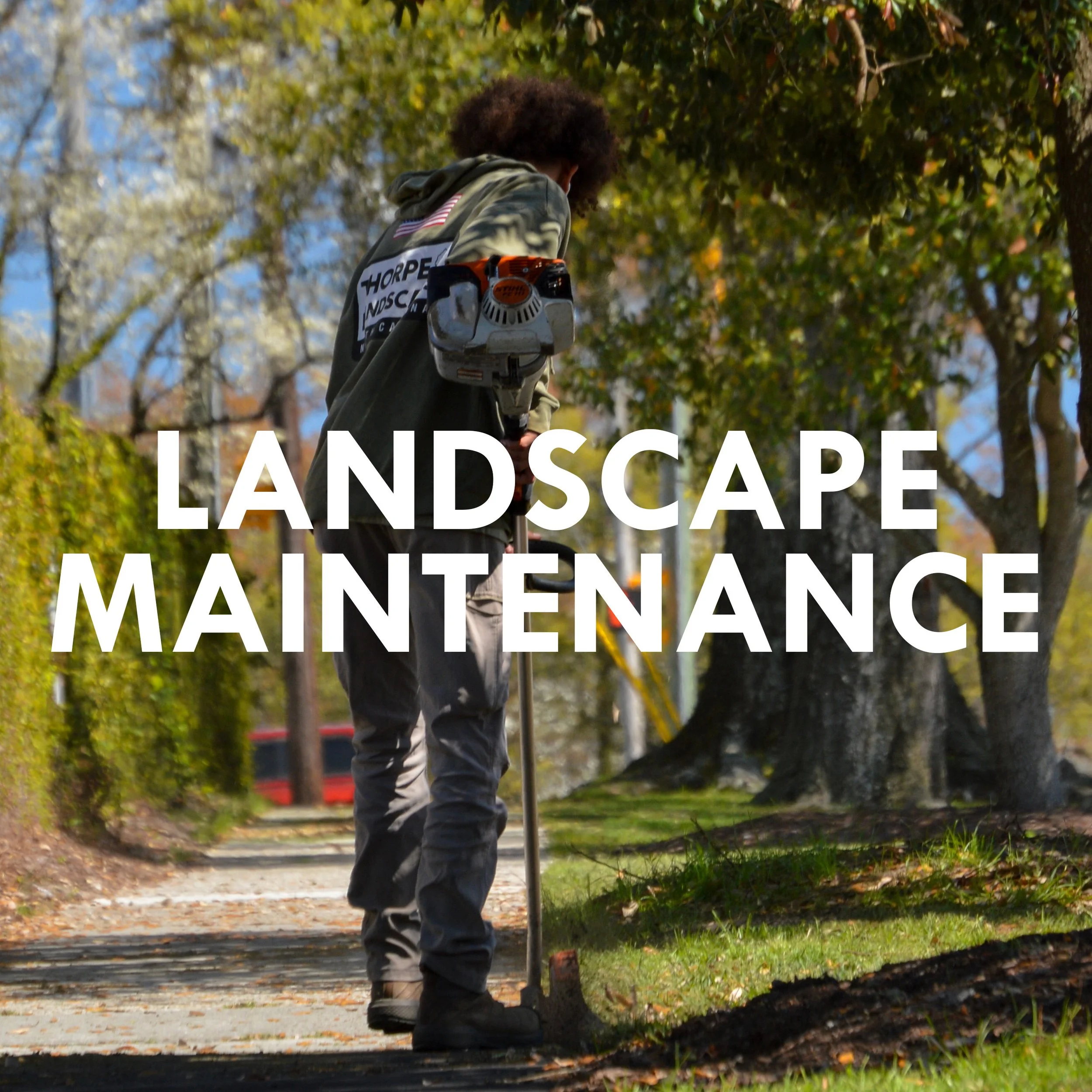 Thorpe Landscapes Landscaping in North Carolina