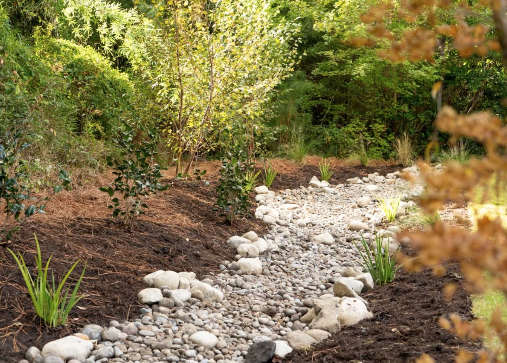 Do You Need A Drainage Upgrade in Wilmington NC? (French Drains, Swales &amp; More)