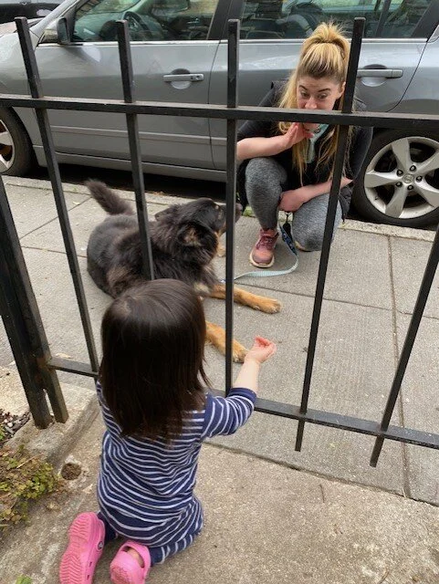 thumbnail_image (1).jpg