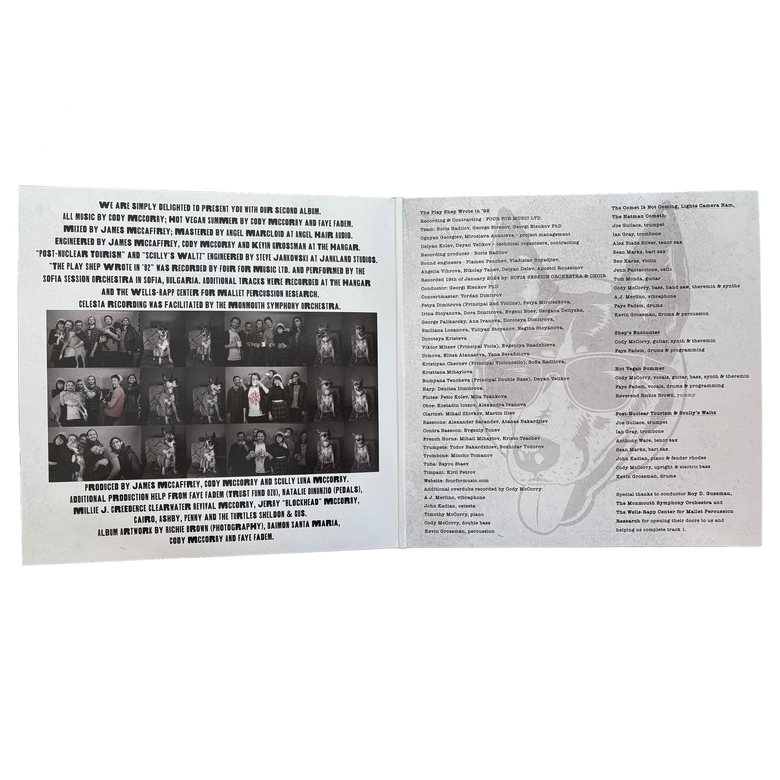 Real Vinyl Interior.png